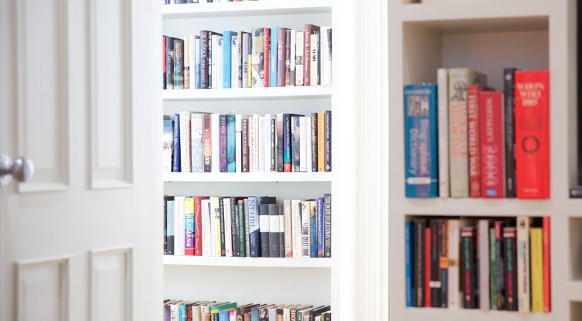 Photo of The Seductive Librarian