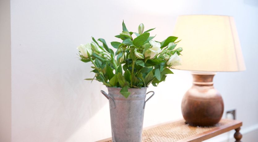 Photo of The Seductive Librarian