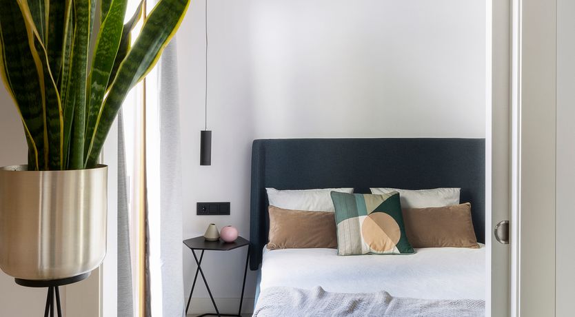 Photo of Velvet Touch