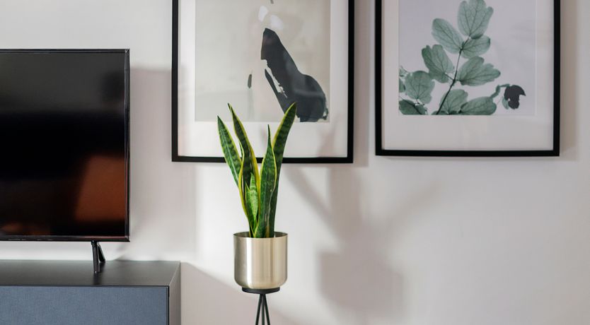 Photo of Velvet Touch