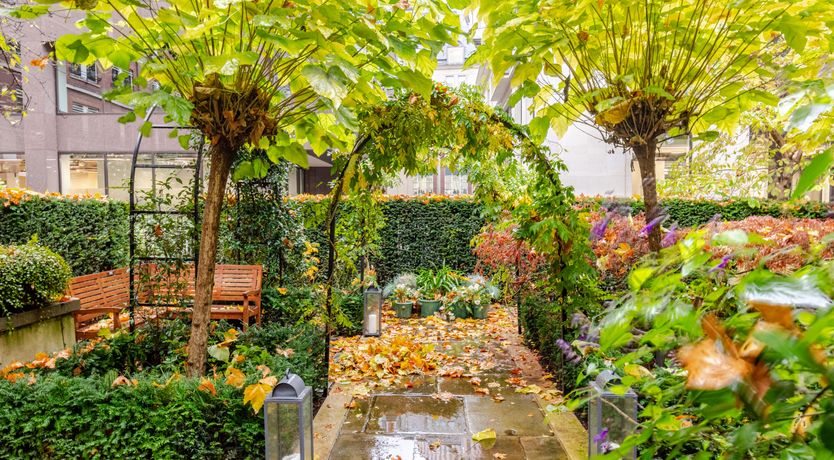 Photo of The Bells of the City