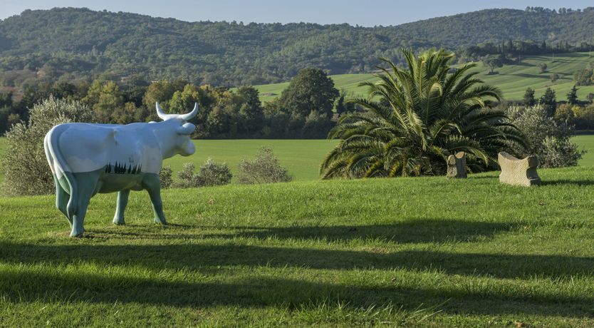 Photo of Mediterranean Vibes