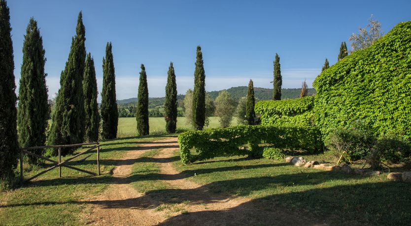 Photo of Mediterranean Vibes