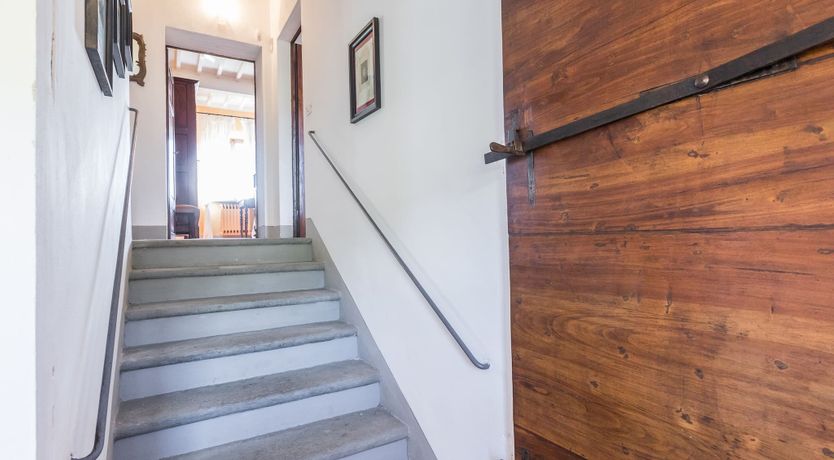 Photo of Midsummer's Gold