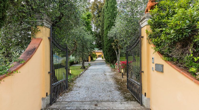 Photo of Midsummer's Gold