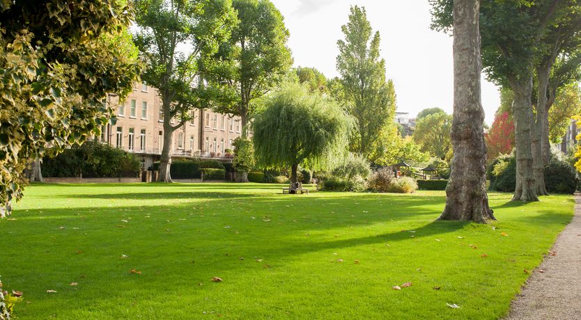 Photo of Serene & Sophisticated