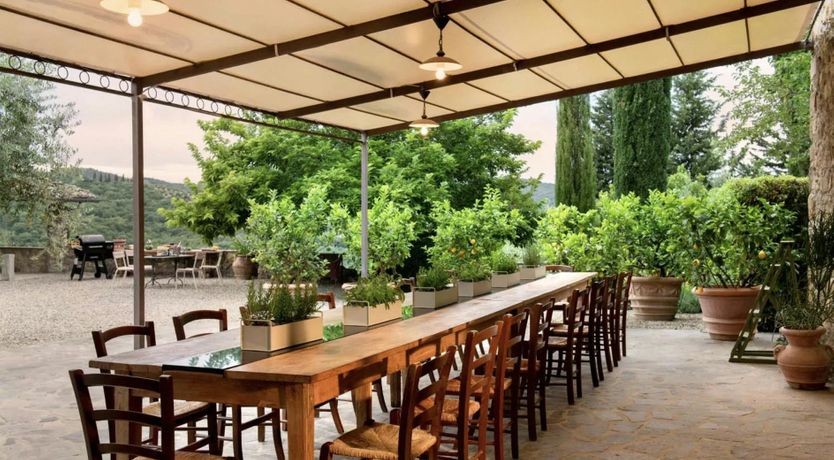 Photo of Mulberry Shade