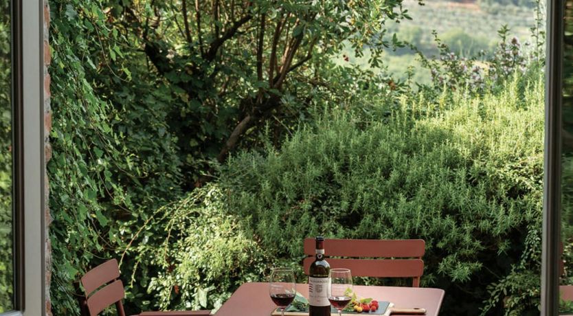 Photo of Mulberry Shade