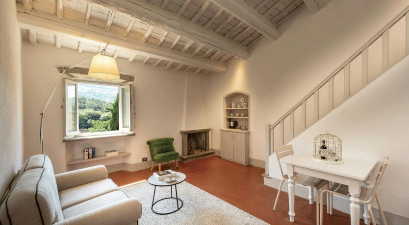 Photo of Mulberry Shade