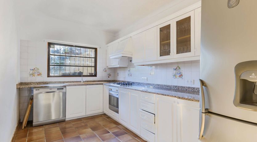 Photo of Dreams Set in Stone