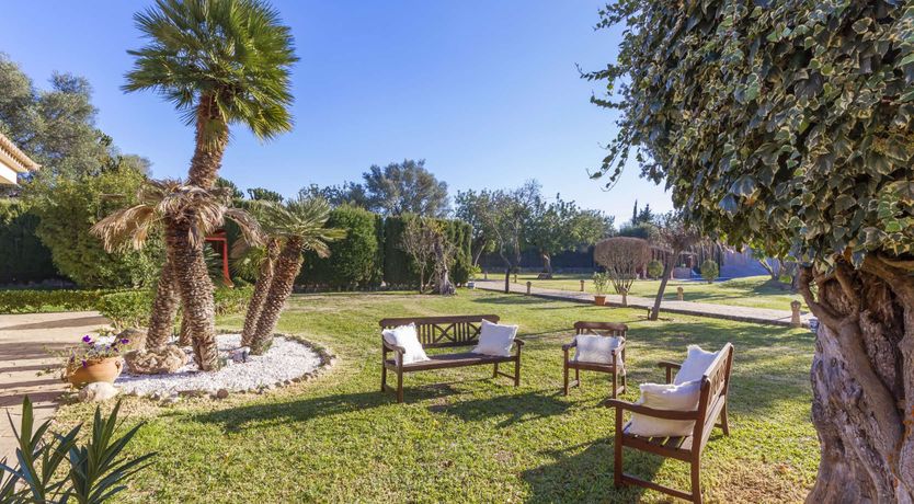 Photo of Dreams Set in Stone