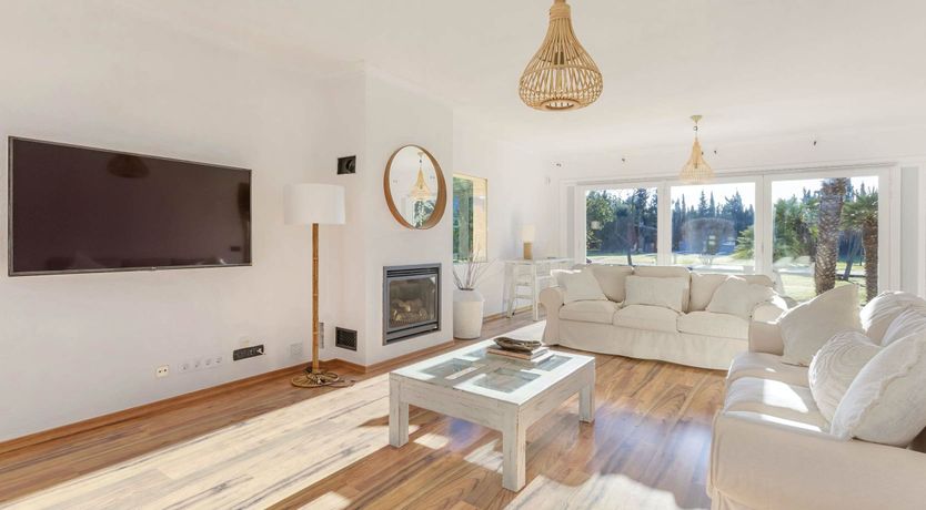 Photo of Dreams Set in Stone