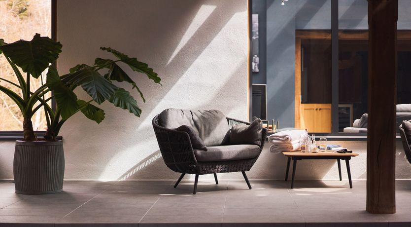 Photo of By Starlight