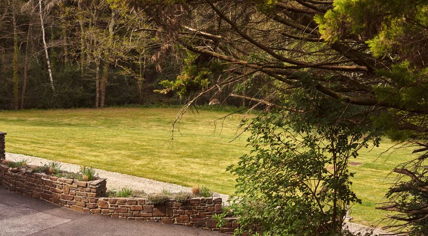 Photo of By Starlight