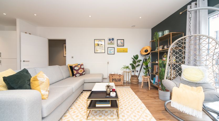 Photo of Modern Jungle