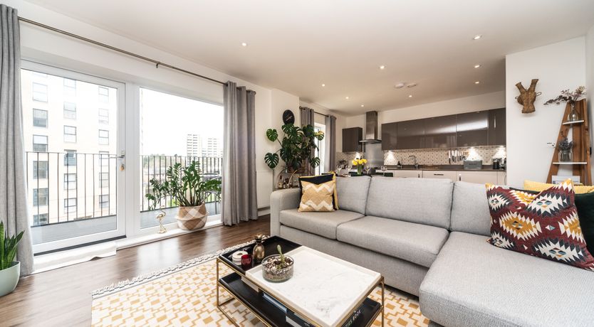 Photo of Modern Jungle