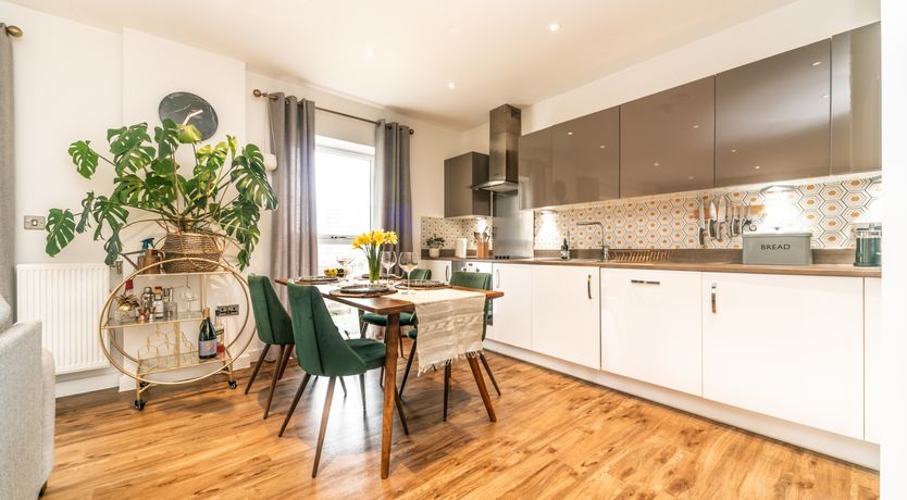 Photo of Modern Jungle