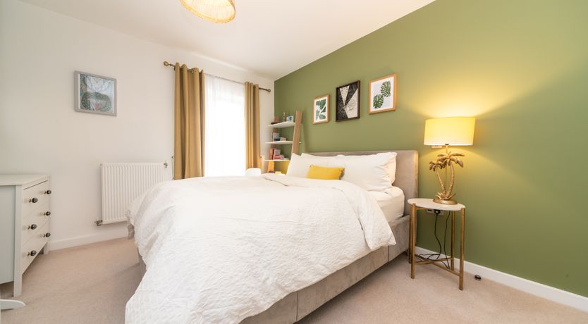 Photo of Modern Jungle