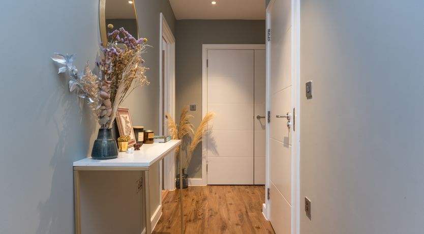 Photo of Modern Jungle