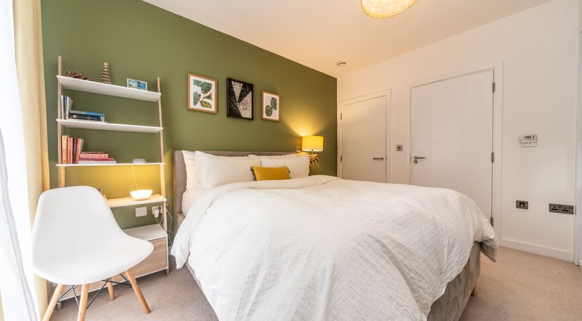 Photo of Modern Jungle