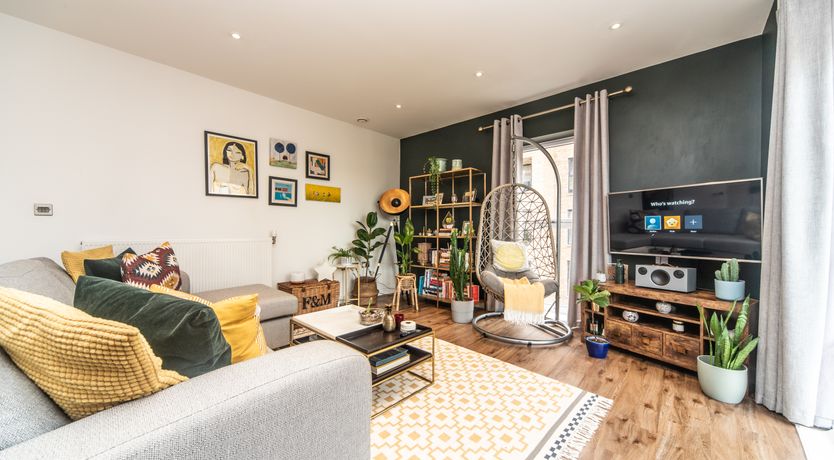 Photo of Modern Jungle