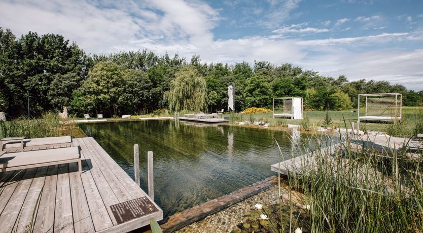 Photo of River of Grace