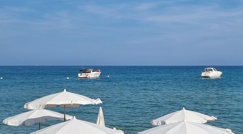 Photo of Champagne & Olive