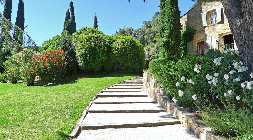 Photo of Champagne & Olive