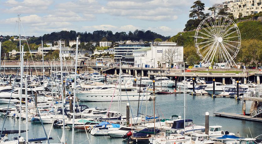 Photo of Peppermint Rock