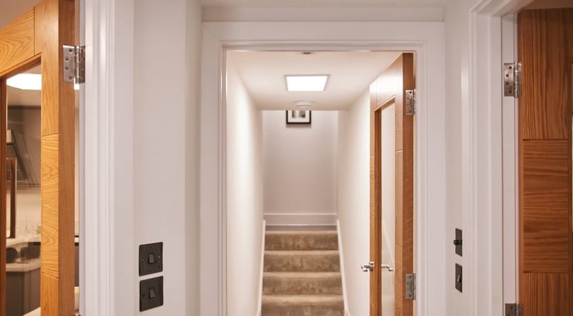 Photo of Peppermint Rock