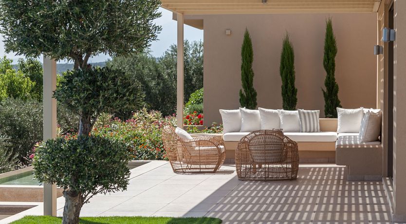 Photo of Sunflower Breeze