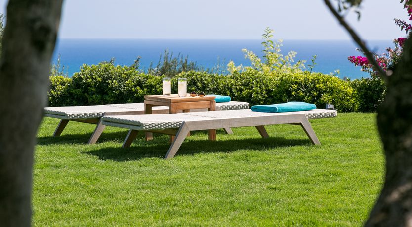 Photo of Sunflower Breeze