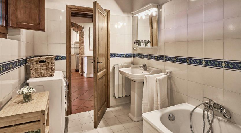 Photo of Tuscan Cypresses