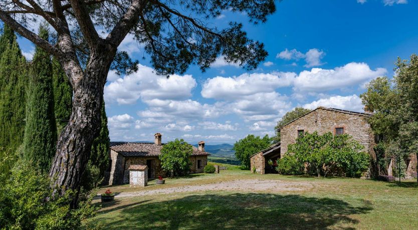 Photo of Tuscan Cypresses