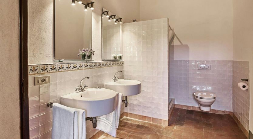 Photo of Tuscan Cypresses