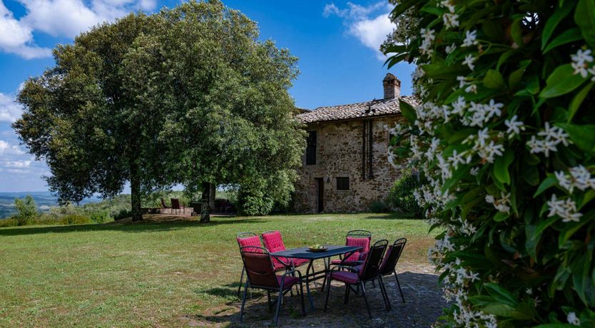 Photo of Tuscan Cypresses