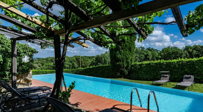 Photo of Tuscan Cypresses