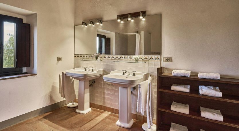 Photo of Tuscan Cypresses