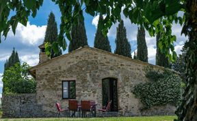 Photo of Tuscan Cypresses