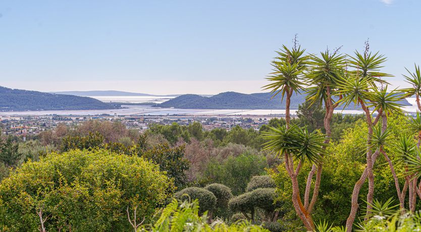 Photo of The Salt of the Sea