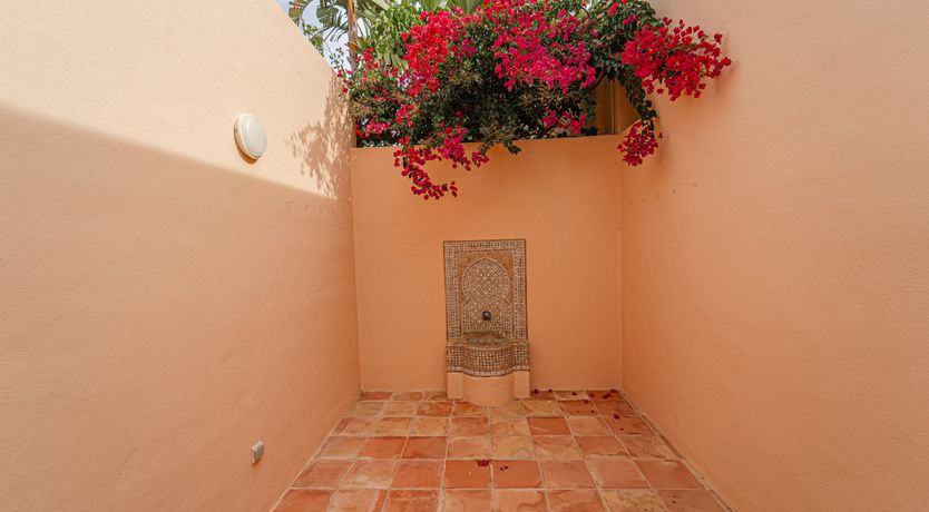 Photo of The Salt of the Sea