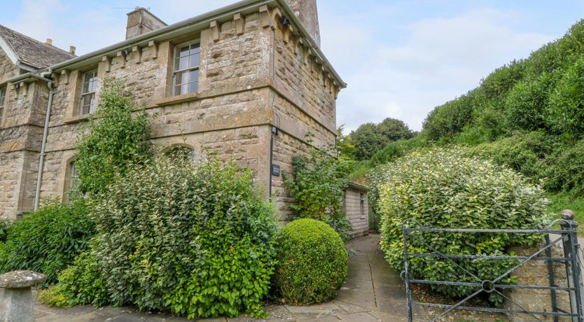 Photo of Bluebells in Spring