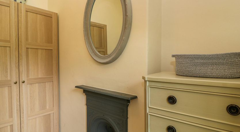 Photo of Bluebells in Spring