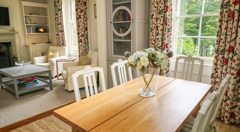 Photo of Bluebells in Spring