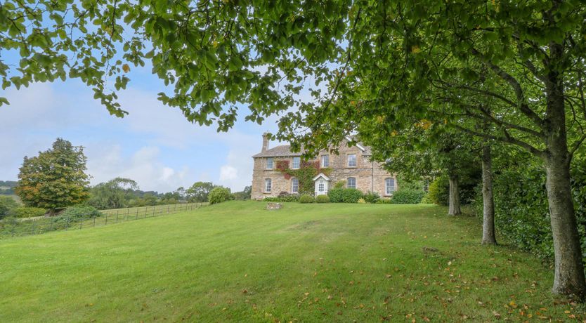 Photo of Bluebells in Spring