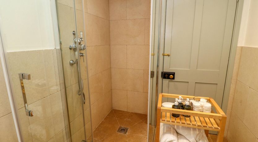 Photo of Bluebells in Spring