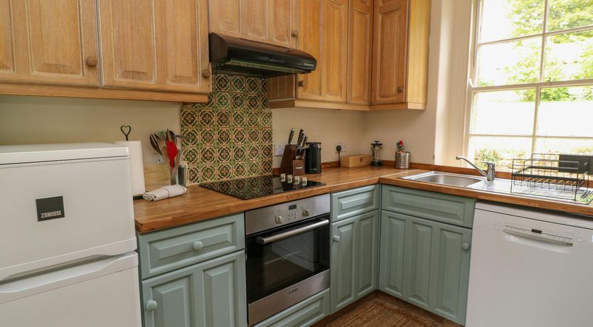 Photo of Bluebells in Spring