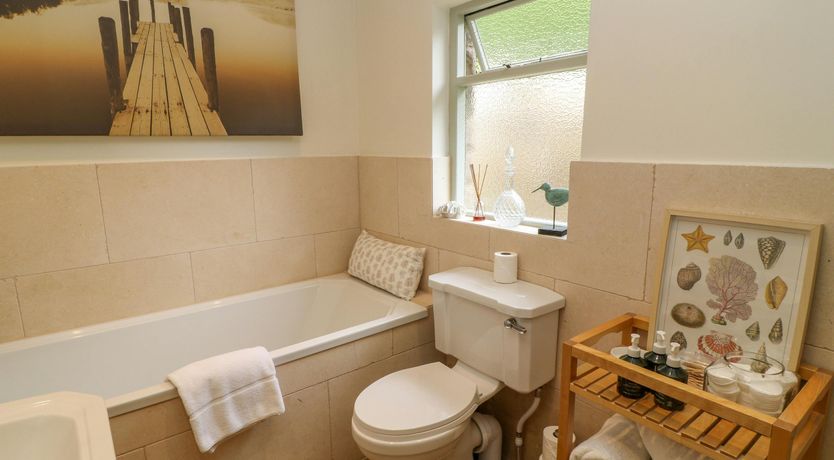 Photo of Bluebells in Spring