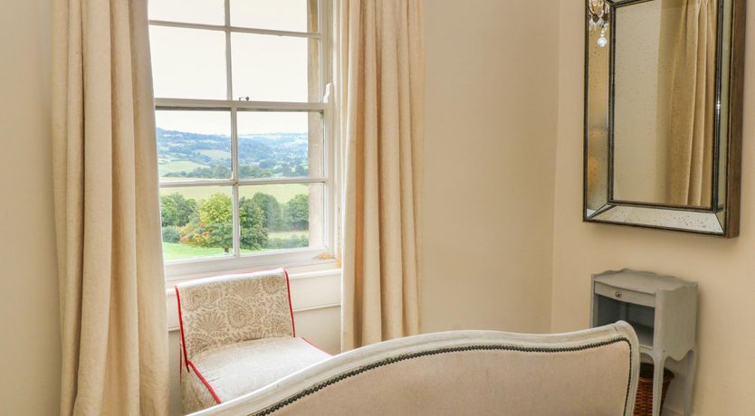 Photo of Bluebells in Spring