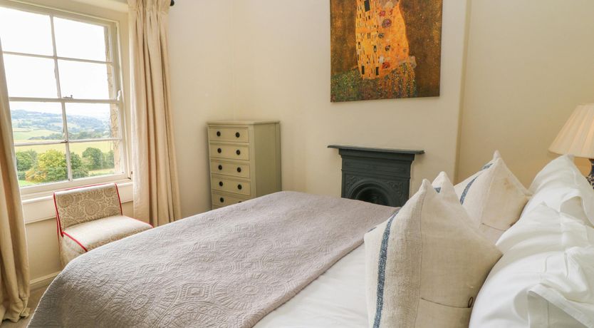 Photo of Bluebells in Spring